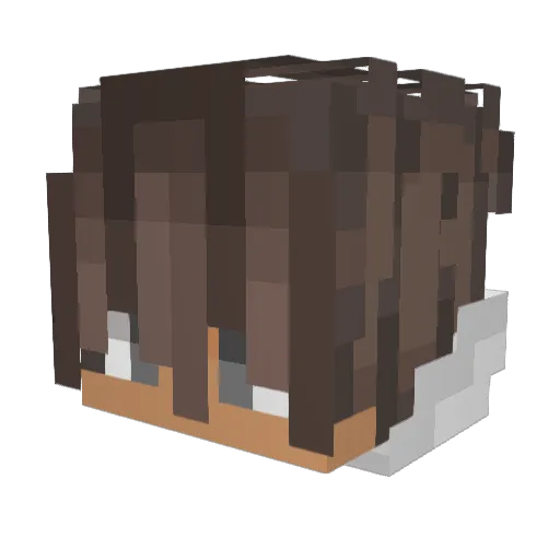 Tatum717 Minecraft avatar head, 3D render