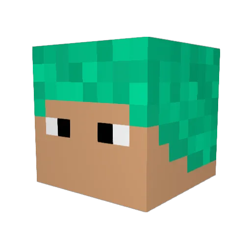 Taty3000 Minecraft avatar head, 3D render
