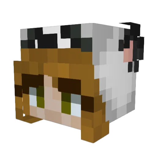 TatySt14 Minecraft avatar head, 3D render