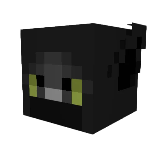 Tatze02 Minecraft avatar head, 3D render