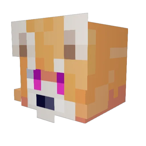 Tatzuki_ Minecraft avatar head, 3D render