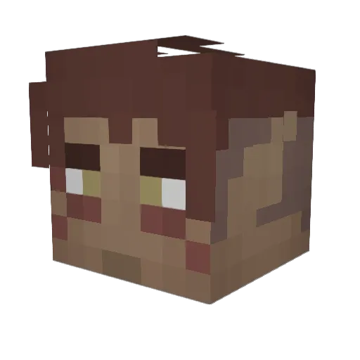 TauFirewarrior Minecraft avatar head, 3D render