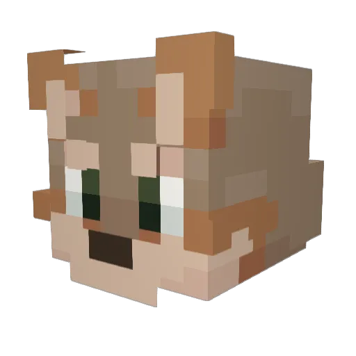 TauYote Minecraft avatar head, 3D render