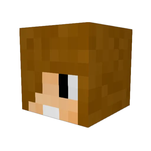 Taubsi1998 Minecraft avatar head, 3D render