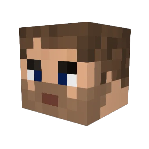 Taucho Minecraft avatar head, 3D render