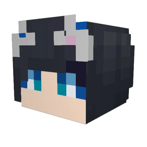 Taukai Minecraft avatar head, 3D render