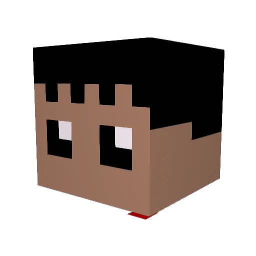 Taume Minecraft avatar head, 3D render