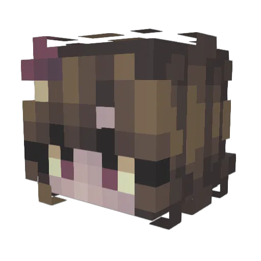 TauriElder Minecraft avatar head, 3D render