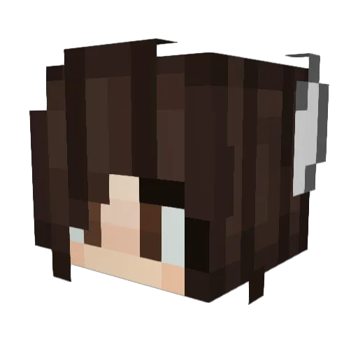 Taurus05 Minecraft avatar head, 3D render
