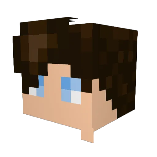TausXIV Minecraft avatar head, 3D render