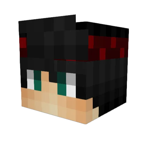 TausendEuroJunk Minecraft avatar head, 3D render