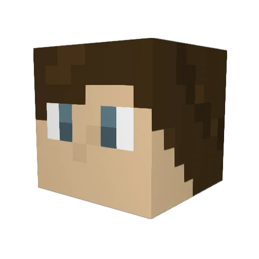 Tauzlol Minecraft avatar head, 3D render