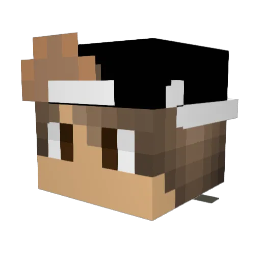 Tav20 Minecraft avatar head, 3D render