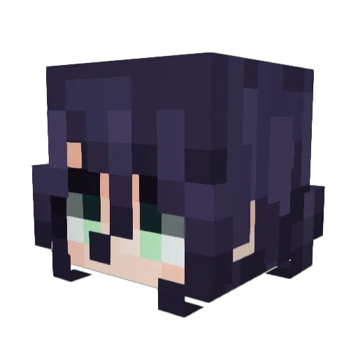 TavernDrunk Minecraft avatar head, 3D render