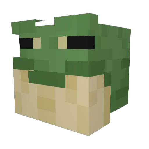 Tavi501 Minecraft avatar head, 3D render