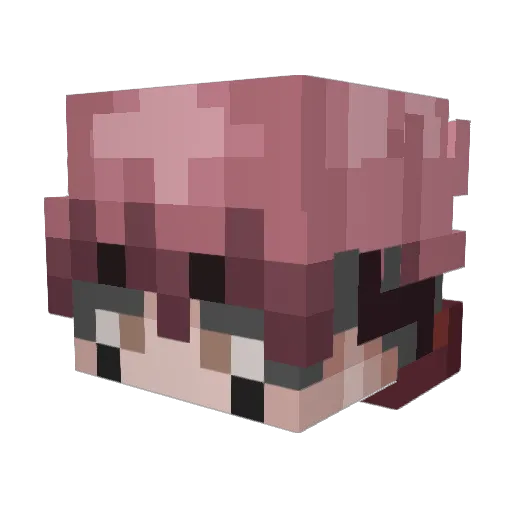 TaviTheDestroyer Minecraft avatar head, 3D render