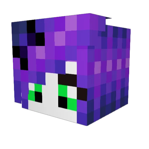 TaviaFlower Minecraft avatar head, 3D render