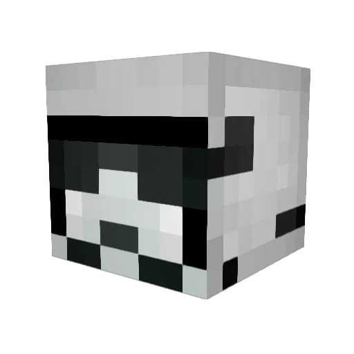 Tawd123 Minecraft avatar head, 3D render
