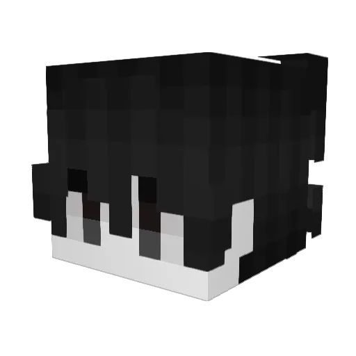 Tawin1309 Minecraft avatar head, 3D render