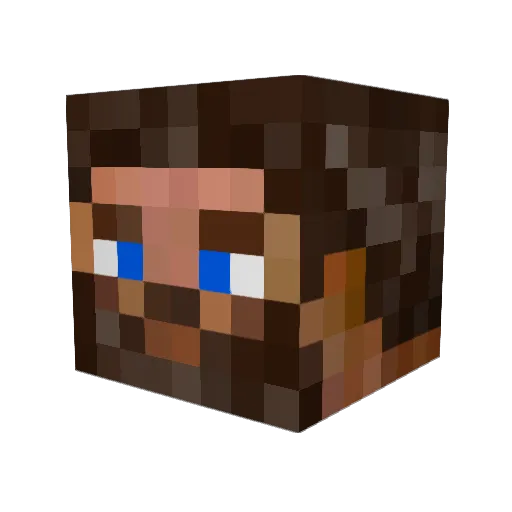 TawnyFrogmouth Minecraft avatar head, 3D render