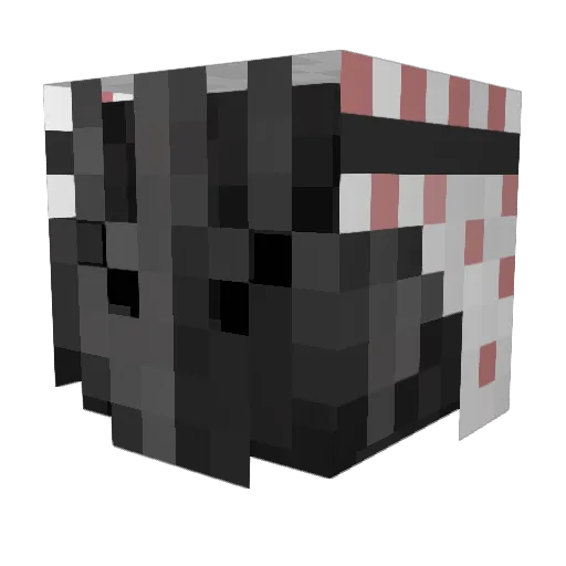Tawook12 Minecraft avatar head, 3D render