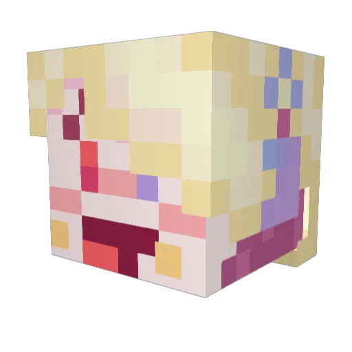 TaxCat Minecraft avatar head, 3D render