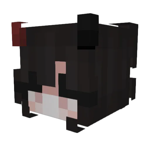 TaxFraud2 Minecraft avatar head, 3D render