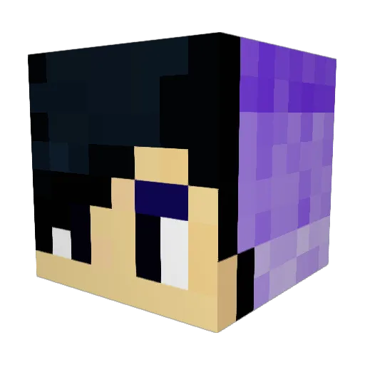 TaxFraudCommiter Minecraft avatar head, 3D render