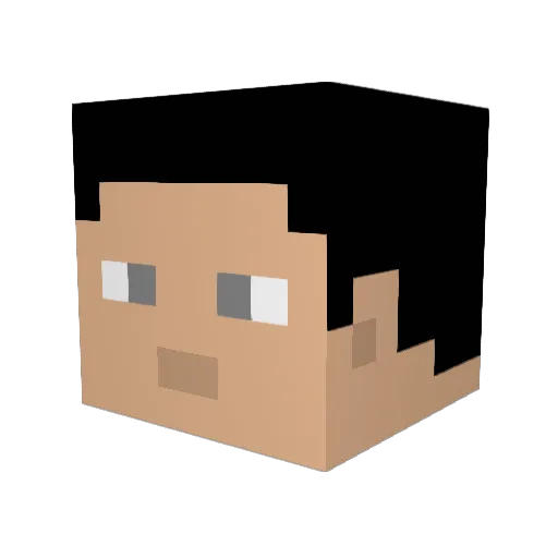 TaxMan99 Minecraft avatar head, 3D render