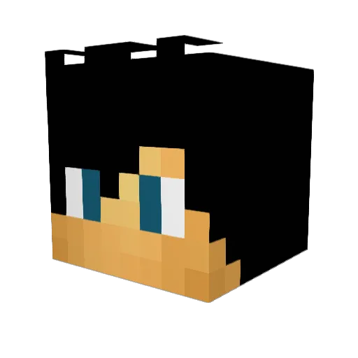 Taxap Minecraft avatar head, 3D render