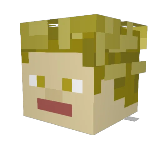 Taxi_LP Minecraft avatar head, 3D render