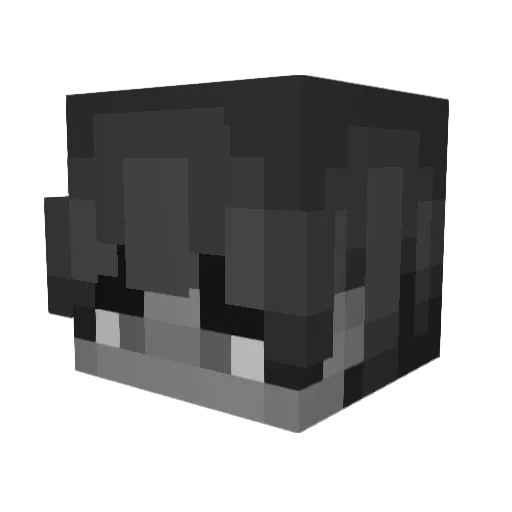 Taxifahrer111 Minecraft avatar head, 3D render