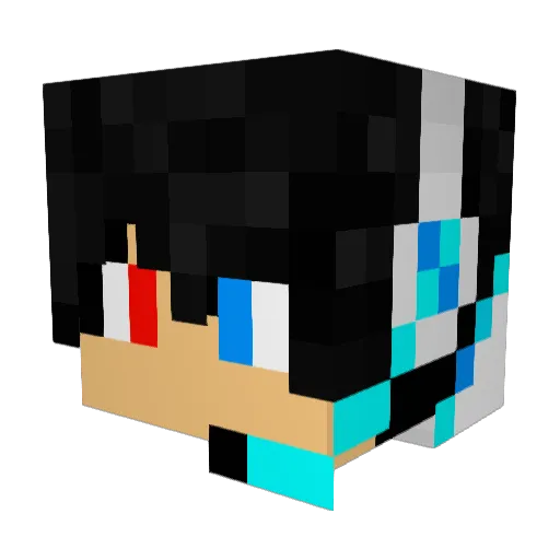 Taxqi Minecraft avatar head, 3D render