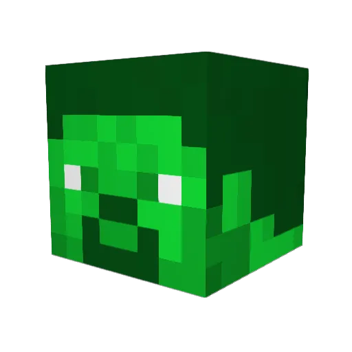 Taxus_Fraudulus Minecraft avatar head, 3D render