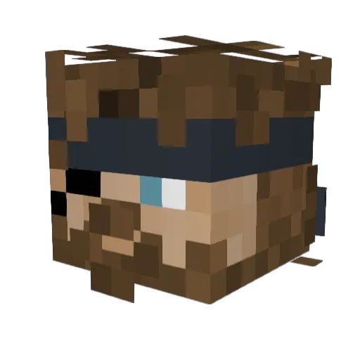 Taxx3vader Minecraft avatar head, 3D render