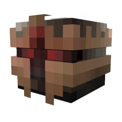 Taxxelplayer Minecraft avatar head, 3D render