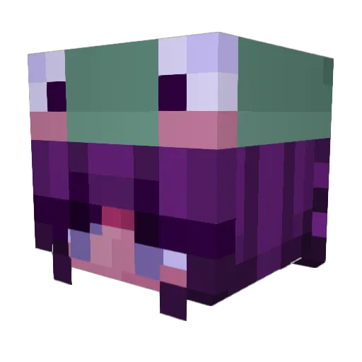 Tay1725 Minecraft avatar head, 3D render