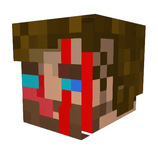 Tay9661 Minecraft avatar head, 3D render