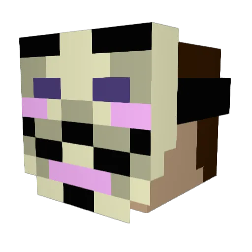 Tay9990 Minecraft avatar head, 3D render