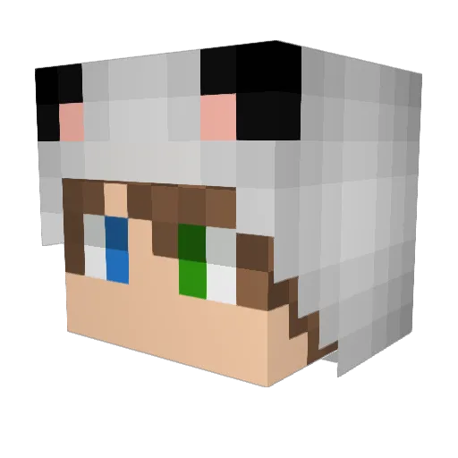 TayFan Minecraft avatar head, 3D render