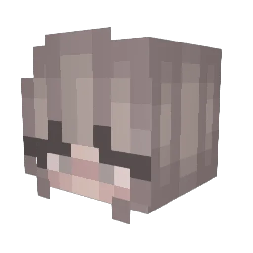 TayIsAwake Minecraft avatar head, 3D render