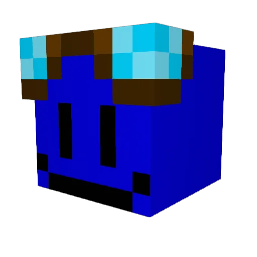 TayRixAnimatez Minecraft avatar head, 3D render