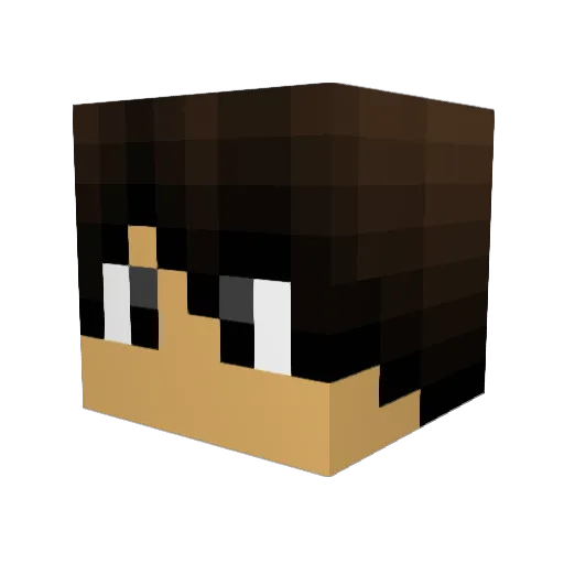 TayTay2213 Minecraft avatar head, 3D render
