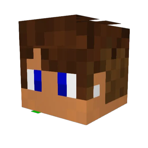TayTayFree Minecraft avatar head, 3D render