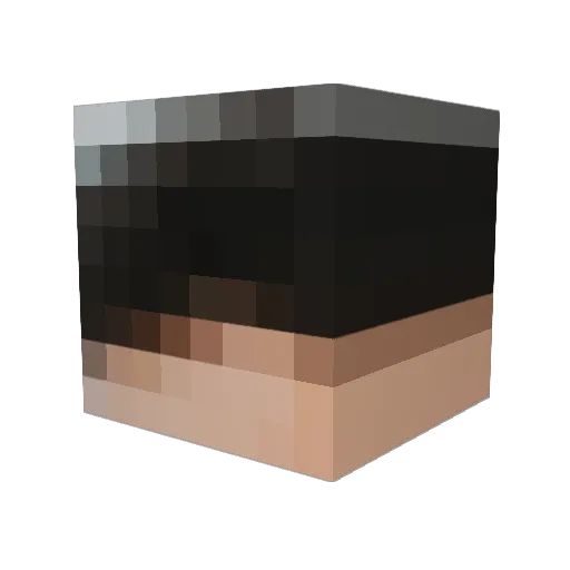 TayTayTheBigGay Minecraft avatar head, 3D render