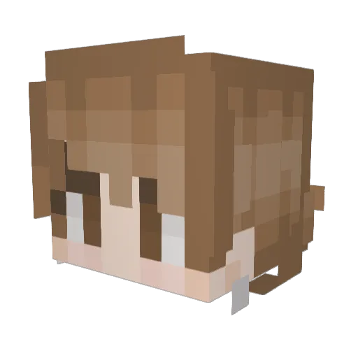 TayZisValid Minecraft avatar head, 3D render