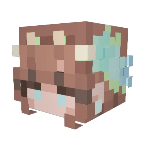 TayaKid Minecraft avatar head, 3D render