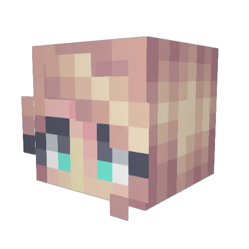 Tayata342_ Minecraft avatar head, 3D render