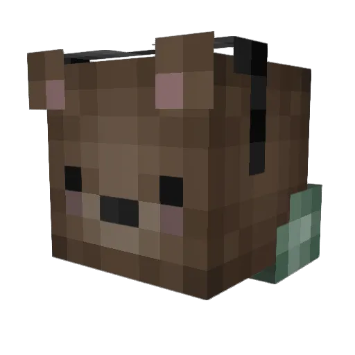 Tayboxer Minecraft avatar head, 3D render