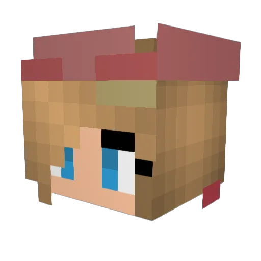 Taybugotdatswag Minecraft avatar head, 3D render